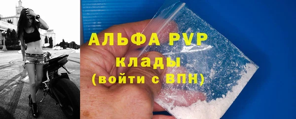прущие грибы Лихославль