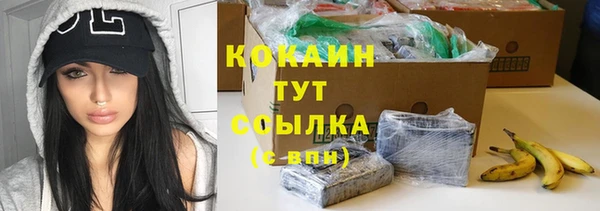 прущие грибы Лихославль
