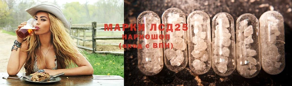 прущие грибы Лихославль