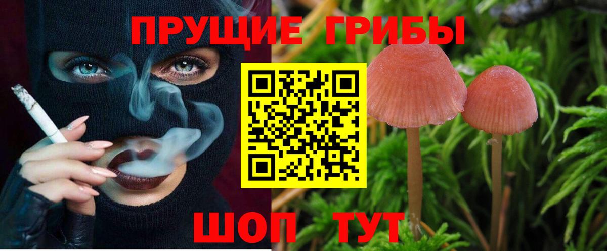 Псилоцибиновые грибы мицелий Химки